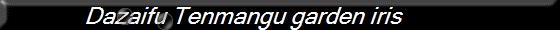 Dazaifu Tenmangu garden iris