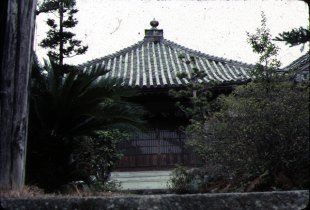 国分寺の写真